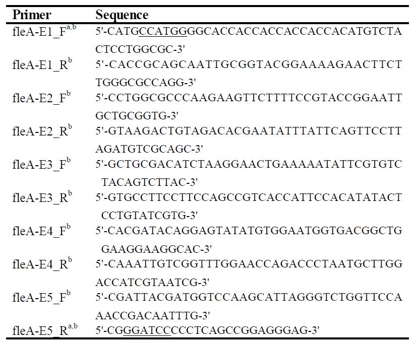 FleA fragment들의 fusion PCR에 사용된 primers
