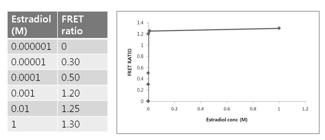 estradiol 리간드 농도에 따른 형광 Fret ratio의 변화