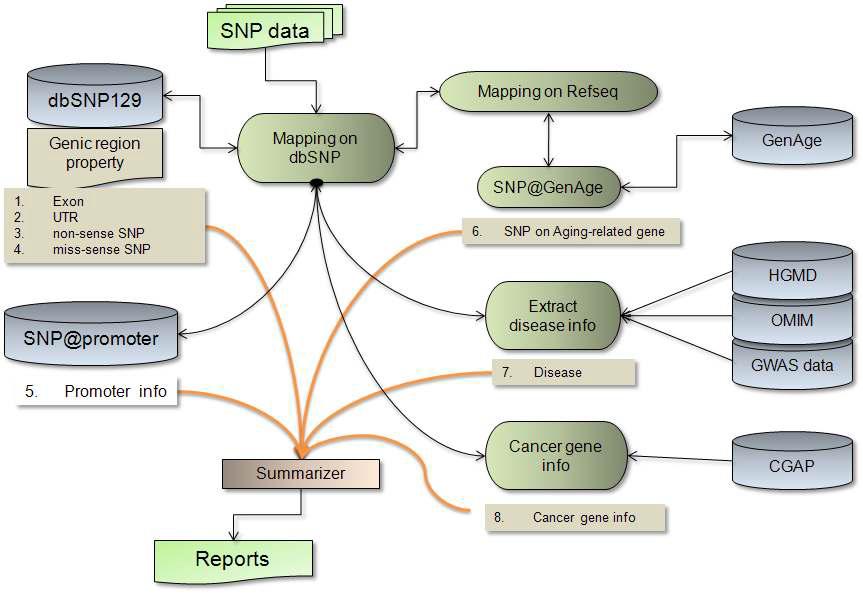 장수인 SNP 데이터의 오믹스 정보 분석 파이프라인 시스템 설계