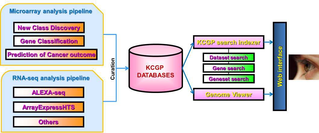 한국인 암환자의 유전체(KCGP) 포털 인프라 구조