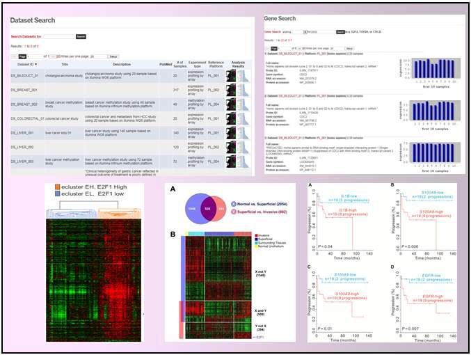 데이터세트, 유전자 검색 결과 및 각종 분석 결과 제공