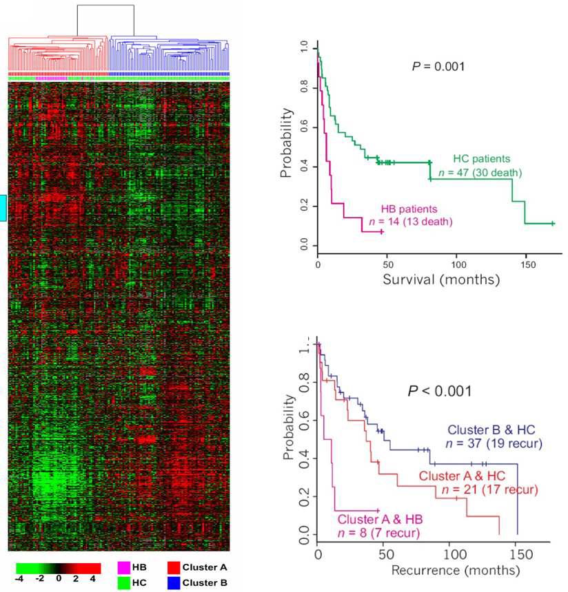 한국인 간세포암(HCC)의 유전자발현 패턴과 각 subtype의 예후 예측