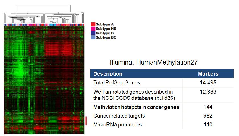 유전자발현 분석한 샘플 중 72개의 간암 샘플(HCC)로 확보한 Methylation profile 데이터의 패턴분석