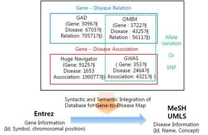 유전자-질병 연관성 데이터수집 모식도