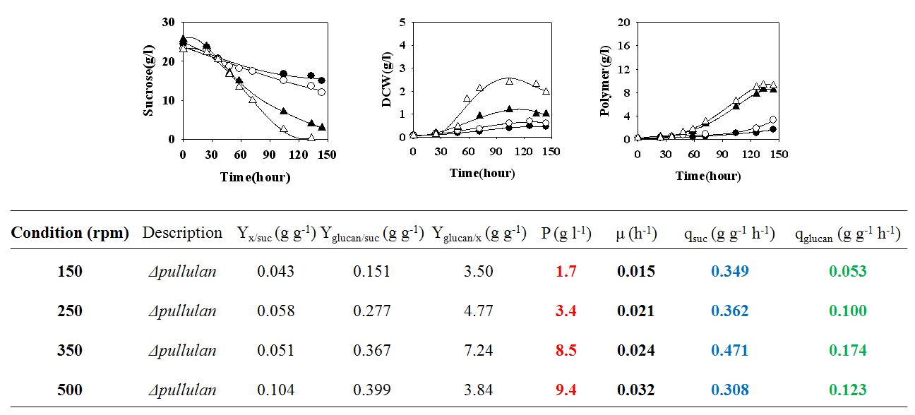 Effect of agitation speed on the products of expolysaccharides.Change of sucrose concentration, dry cell weight (DCW) and total exopolysaccharides in 5L batch cultures of NP1221 (150 rpm, closed circle; 250 rpm, open circle; 350 rpm, closed triangle; 500 rpm, open triangle).