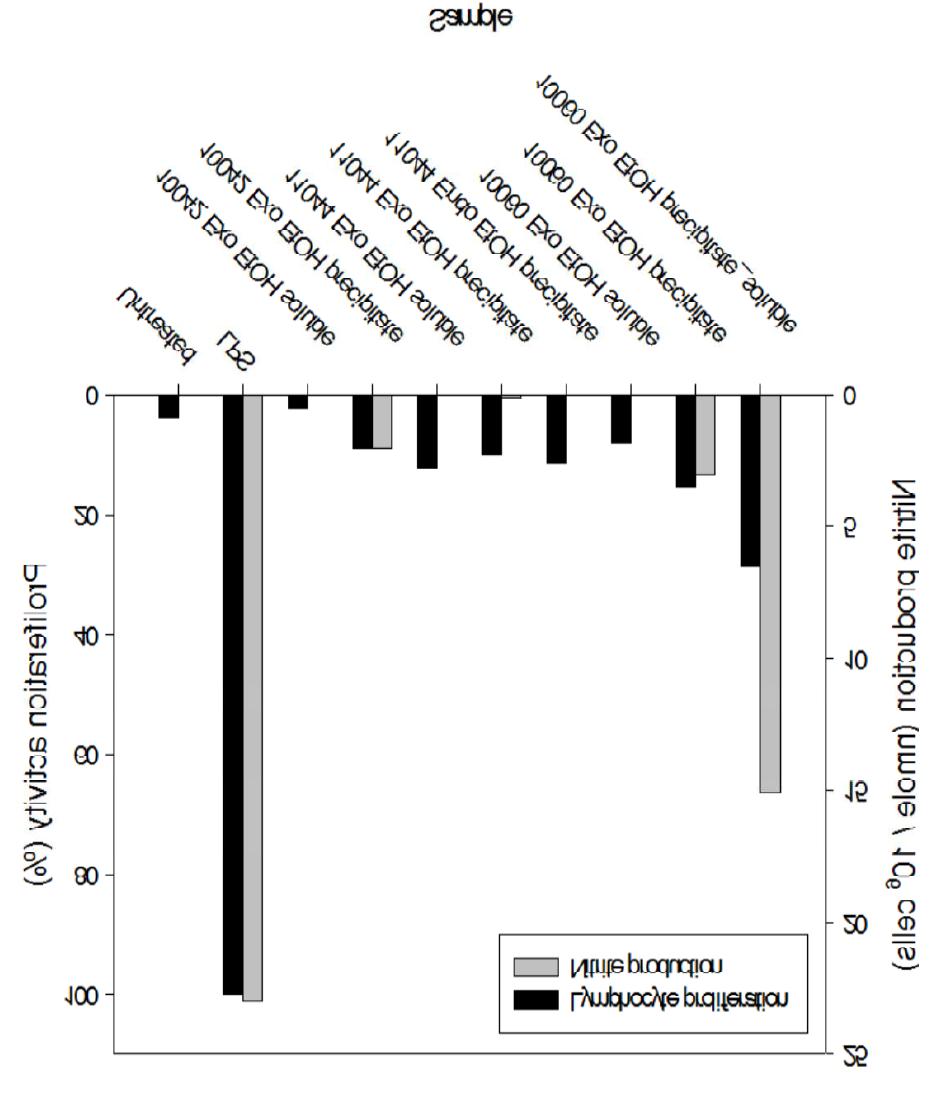 The effect of crude polysaccharide isolated from Flammulina velutipes 10042,Inonotus obliquus 11044, and Hypsizigus marmoreus 10060 on the nitrite evolution of RAW264.7 cells and on the proliferation of splenic cells.