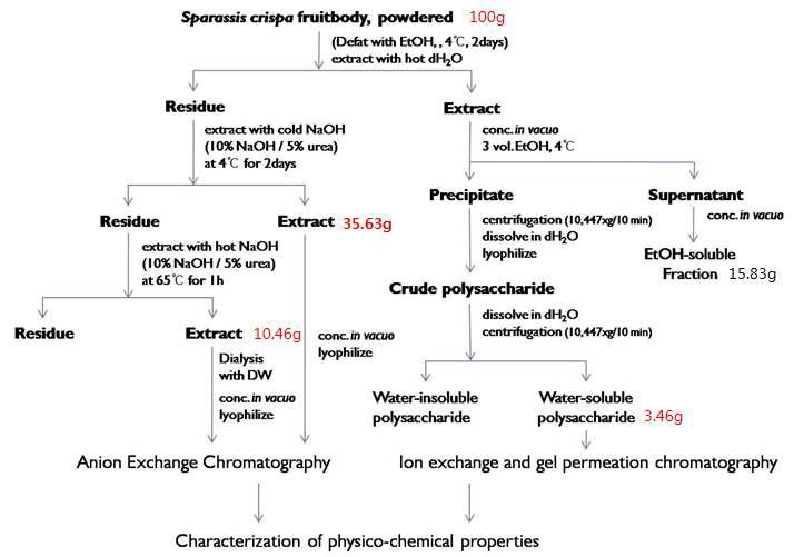 Extraction and purification scheme of and immuno-stimulating polysaccharides from fruitbody of Sparassis crispa. DEAE-Sephadex A25(Cl-) was used in anion exchange chromatography.