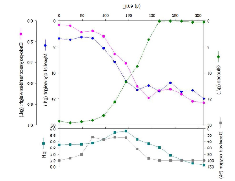 Batch fermentation patterns of Inonotus obliquus 11040 in a 500 l pilot vessels.The changes of dissolved oxygen (DO), pH and glucose concentration are also shown. The seed culture was conducted for 144 hr in 50 liter fermentor and the cultural broth in log phase was transferred to 500 liter scale. This culture was conducted for 312 hours.