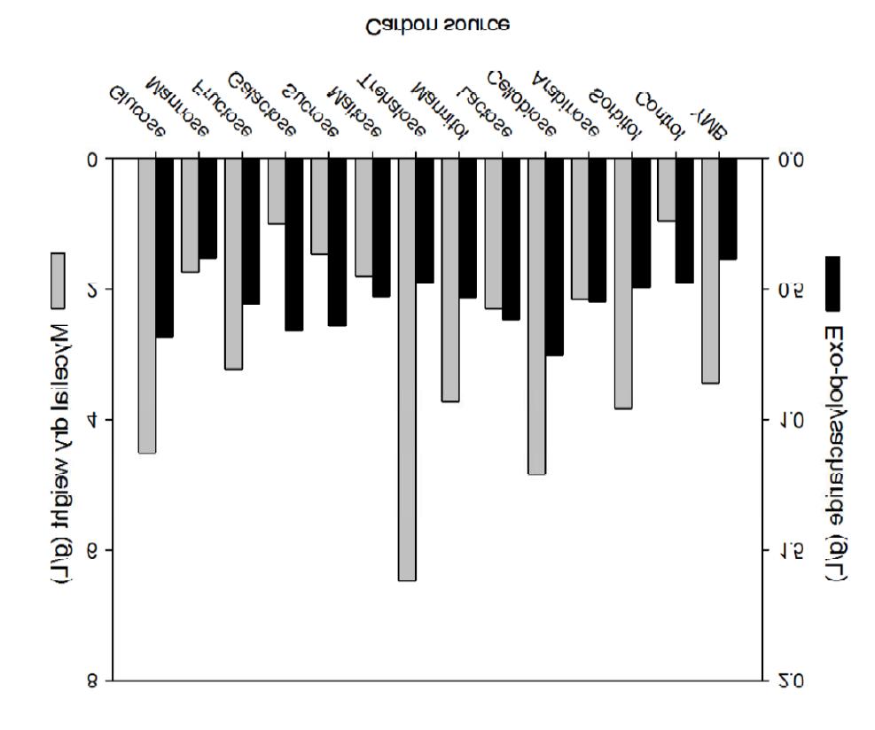 Mycelial dry weight and exo-polysaccharide production depending on carbon source. (YMB, YM Broth)