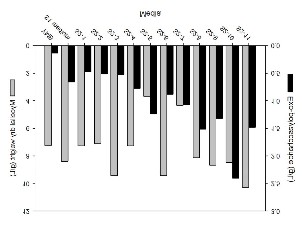 Effect of various substrates and their concentration on mycelial dry weight and exo-polysaccharide production.