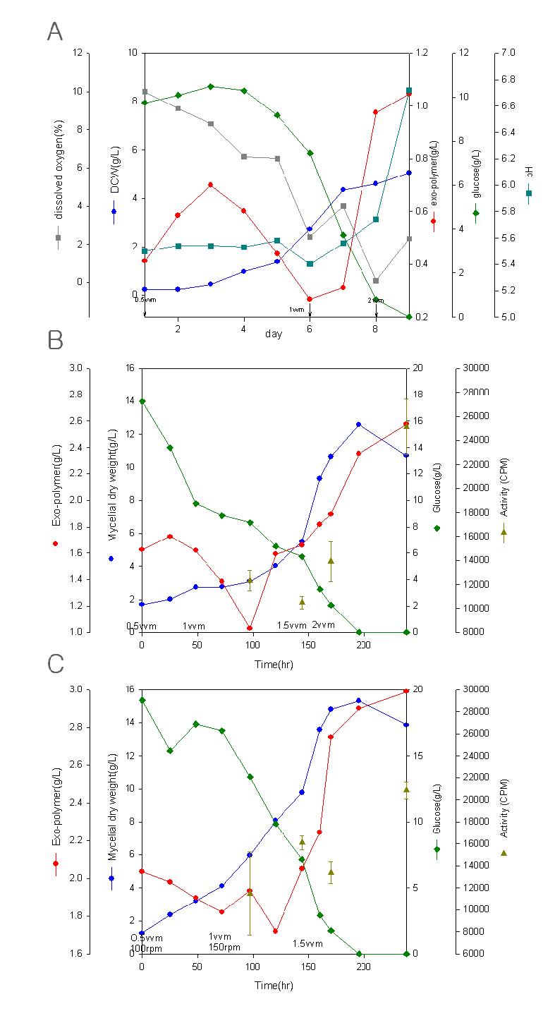 Time profiles of mycelial growth and exopolysaccharides production in 5 liter batch fermentation. A. BC(YMB); B. BC(MYMB); C. STR(MYMB)