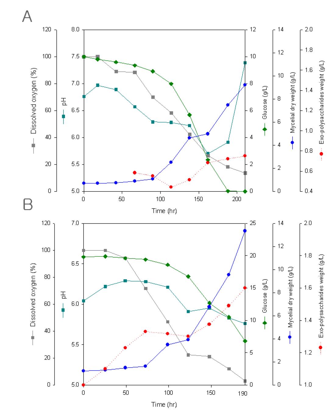 Time profiles of mycelial growth and exopolysaccharides production in 30 liter batch fermentation. A. YMB; B. MYMB(modified YM broth)