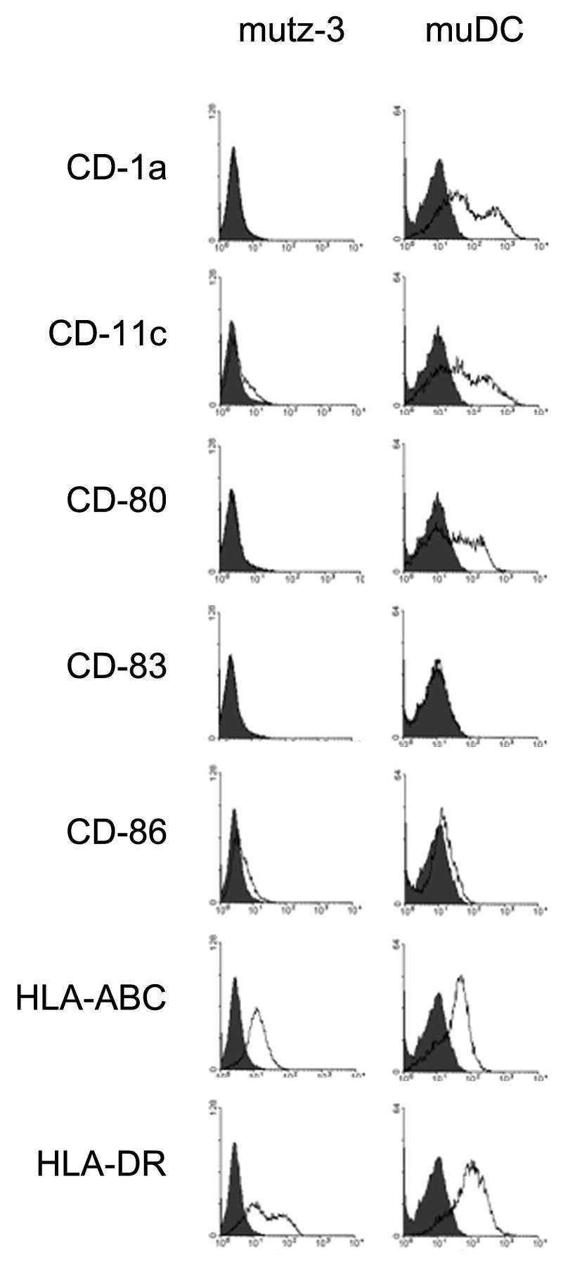 Expression of dendritic cell surface marker. muDC was differentiated by GM-CSF, IL-4, TNF-α for 48hr.