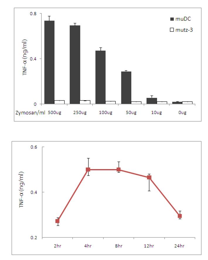 TNF-α secretion by zymosan in muDC. Top; secretion of TNF-α was dependent to zymosan concentration(6hr incubation). Bottom; TNF-α increase and decrease by zymosan(100㎍/ml) was dependent to time variation.