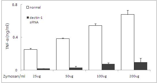 TNF-α secretion by zymosan in Dectin-1 silenced muDC.