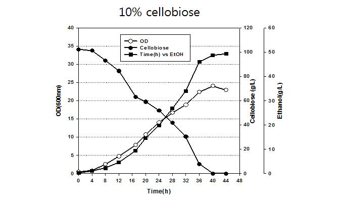 Cellobiose 활용 B2B yeast를 이용한 에탄올 발효생산