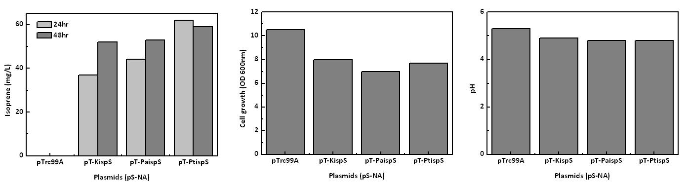 호기적배양을 통한 3가지 이소프렌 synthase의 이소프렌 생산성 비교 (pS-NA 도입).