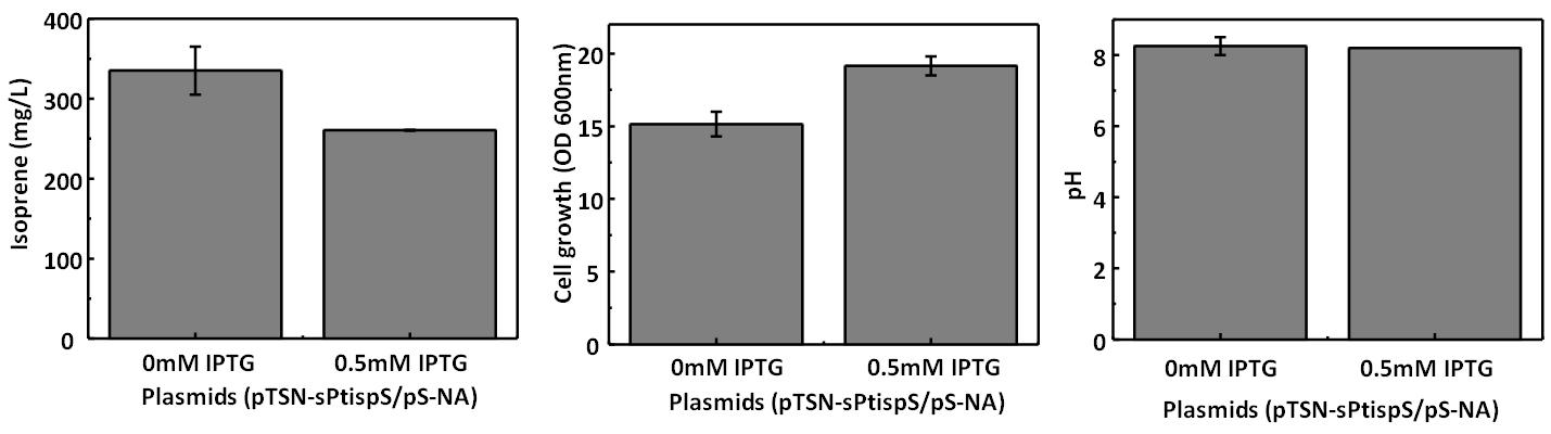 IPTG가 첨가에 따른 호기적 조건에서 이소프렌 생산성 비교.