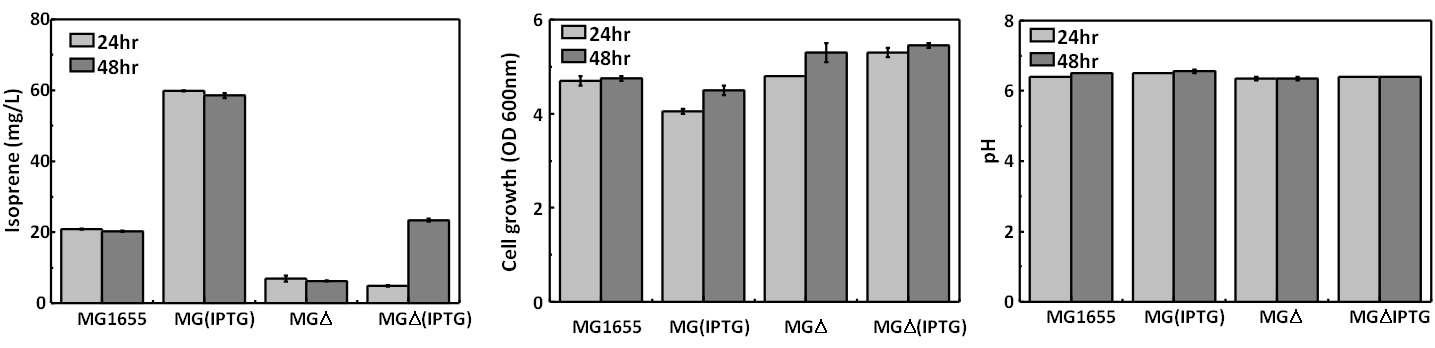 Acetate 생합성 경로가 차단된 균주를 이용한 이소프렌 생산성 비교