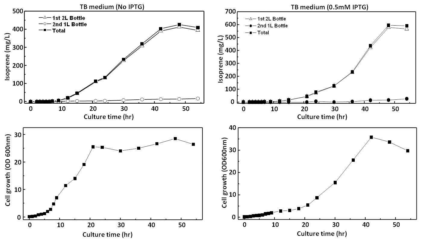 TB medium을 이용한 이소프렌 생산균주 발효.