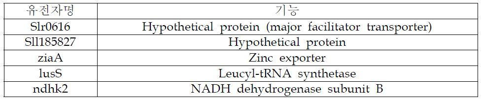 Synechocystis sp. PCC6805로부터 pUC57 기반 shotgun library를 통해 선별된 유전자 목록