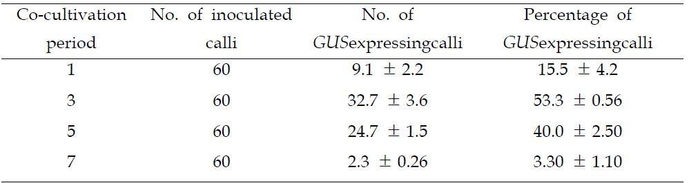 Effects of Co-cultivation period on transient GUS expression in mature seed derived calli. Calli were inoculated with EHA105 harboring pIG121Hm an infection time of 30 min on co-cultivation medium containing 200 μM of acetosyringone. Values represent the mean of three independent experiments.