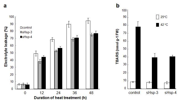 Effect of heat stress on relative ion leakage (a) and TBARS content (b) in non-transgenic control and transgenic plants. The data represent the means and standard deviation (SD) of three independent measurements.