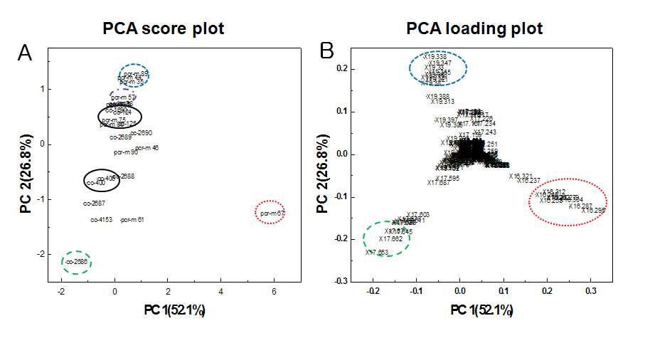 PCA score & loading plot from GC-MS data of 24 Chlamydomonas strains.