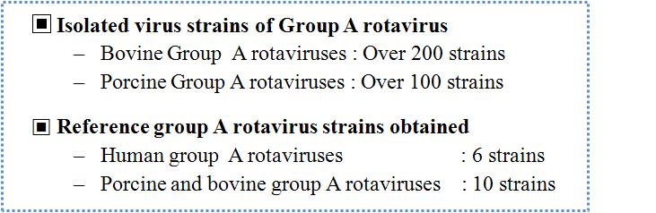 분리된 소와 돼지 로타바이러스 및 사람과 가축 로타바이러스 표준주 확보 현황.
