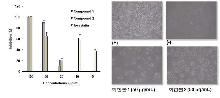 오수유로부터 분리된 화합물 1-2의 sICAM-1과 THP-1 세포간 저해활성