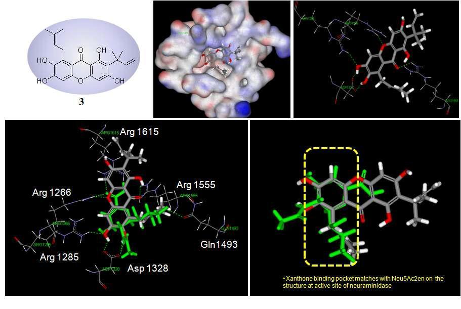 (A) overlay of the active site of the ligand free structure and compound 3. (B) Hydrogen bond interactions between compound 3 and neuraminidase. (C and D) Compound 3 binding pocket matches with Neu5Ac2en on the structure at active site of neuraminiase