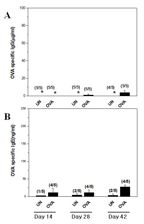 Allergen specific IgG and IgE concentrations in sera of BN rats induced by oral allergen treatment. The data are presented as group mean concentrations ± SD. The numbers of animals developing an IgG or IgE response at the respective time-points are indicated over the bar. A. Concentration of IgG in serum, B. Concentration of IgE in serum, *: Detected but a minimal amount of antibody, (N/N): Number of allergen specific responder per group, (UN): untreated group, (ND): Not detected.
