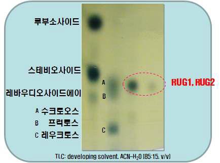 김치 유산균 유래 글루칸수크라제의 당전이 반응에 의해 생성된 당전이 루부소사이