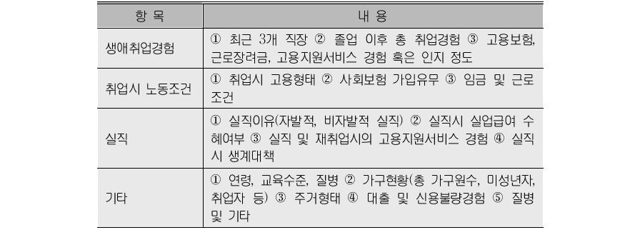 인터뷰 항목 및 내용