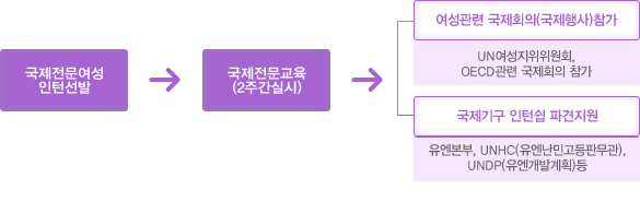 국제전문여성인턴 활동과정