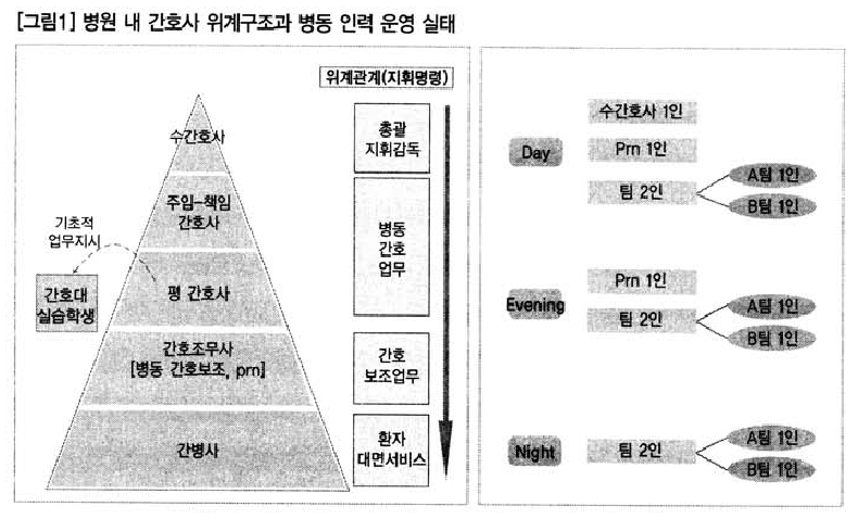 병원 내 간호사 위계구조와 병동 인력 운영실태