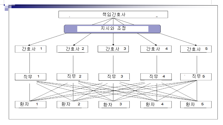 기능적 간호