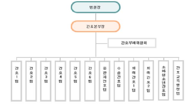 A병원 간호본부 조직도