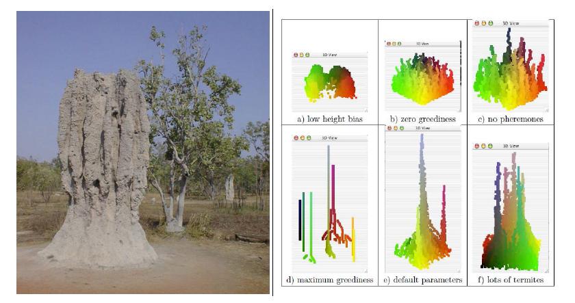 흰개미 집(좌)과 시뮬레이션 모델 (Termites Mound Simulator) 실행 결과(우)