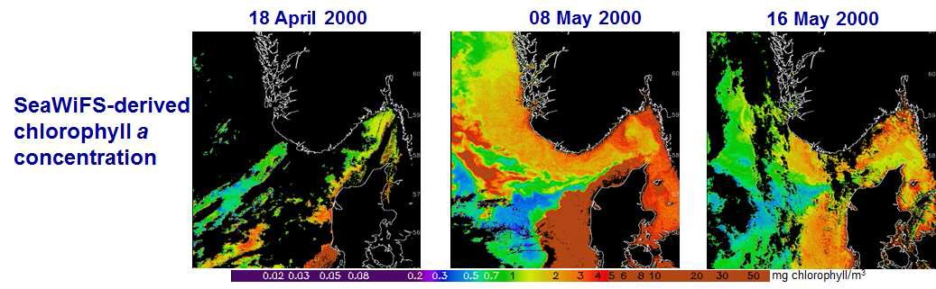 미국 NOAA에서 모니터링에 활용하는 위성촬영 영상 (색상은 클로로필-a의 농도를 표시함)