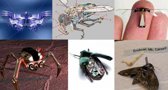코넬 대학에서 연구개발 중인 다양한 임무수행형 곤충로봇 (자료출처: http://gtinfauto.wordpress.com/2011/03/25/241/ )