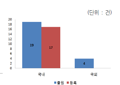 출원/등록으로 본 국내/외 특허 성과