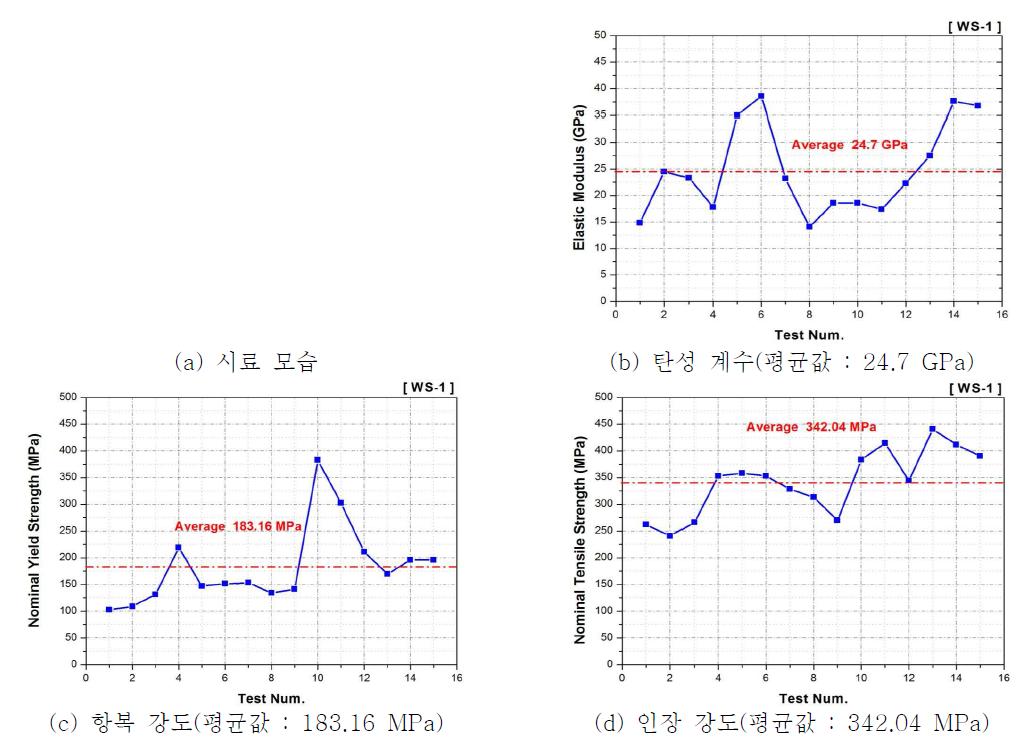 ‘WS-1(여, 43세)’ 기계적 물성 시험 결과