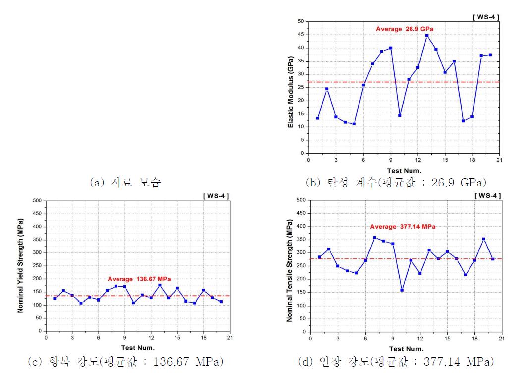 ‘WS-4(여, 54세)’ 기계적 물성 시험 결과