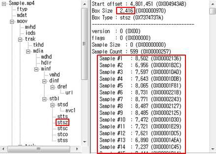 MP4 파일에서 STSZ BOX