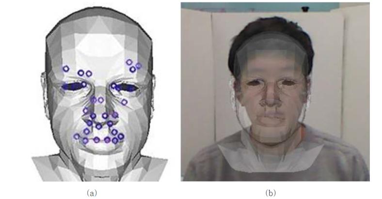 3차원 그래픽 얼굴모델과 정규화 과정. (a) 그래픽 소프트웨어 “Blender”에 의해서 생성된 일반적인 3차원 얼굴모델 및 특징점, (b) 3차원 얼굴모델의 크기와 위치를 조정하여 대상자의 2차원 얼굴영상에 정규화한 모습