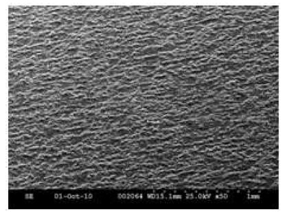 SEM Image of printed electrode of carbon black dispersed in butyl carbitol.