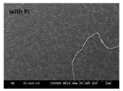 SEM image of printed electrode of caron balck dispersed in butyl carbitol with Nissan PI 2555 polyimide overcoat