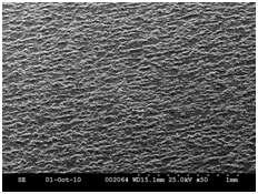 SEM Image of printed electrode of carbon black dispersed in butyl carbitol.