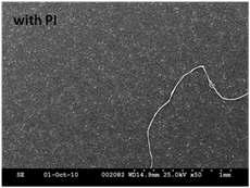 SEM image of printed electrode of caron balck dispersed in butyl carbitol with Nissan PI 2555 polyimide overcoat